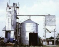 drying plant large 2